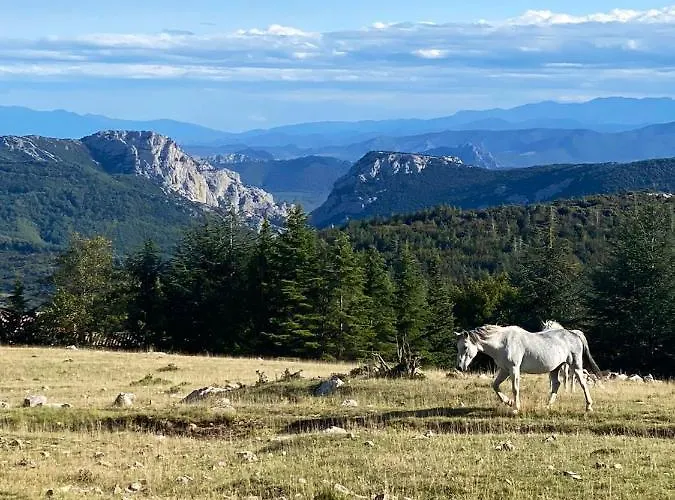A Avec Vue Sur